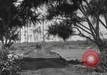 Immagine di Paesaggio di montagna Hawaii USA, 1916, secondo 58 filmato di repertorio 65675023078