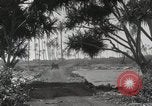 Immagine di Paesaggio di montagna Hawaii USA, 1916, secondo 59 filmato di repertorio 65675023078