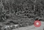 Immagine di Paesaggio di montagna Hawaii USA, 1916, secondo 60 filmato di repertorio 65675023078