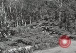 Immagine di Paesaggio di montagna Hawaii USA, 1916, secondo 62 filmato di repertorio 65675023078