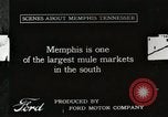 Standbild Maultier Markt Memphis Tennessee USA, 1917, aus Sekunde 1 historischem Filmmaterial Videoclip 65675023080