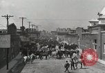 Standbild Maultier Markt Memphis Tennessee USA, 1917, aus Sekunde 3 historischem Filmmaterial Videoclip 65675023080