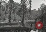 Standbild Maultier Markt Memphis Tennessee USA, 1917, aus Sekunde 42 historischem Filmmaterial Videoclip 65675023080