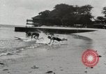 Immagine di Hawaiian surfers Hawaii USA, 1917, secondo 18 filmato di repertorio 65675023082