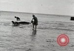 Immagine di Hawaiian surfers Hawaii USA, 1917, secondo 23 filmato di repertorio 65675023082