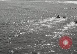 Immagine di Hawaiian surfers Hawaii USA, 1917, secondo 40 filmato di repertorio 65675023082