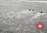 Immagine di Hawaiian surfers Hawaii USA, 1917, secondo 41 filmato di repertorio 65675023082
