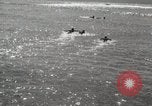 Immagine di Hawaiian surfers Hawaii USA, 1917, secondo 43 filmato di repertorio 65675023082