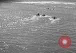 Immagine di Hawaiian surfers Hawaii USA, 1917, secondo 44 filmato di repertorio 65675023082