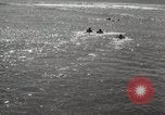 Immagine di Hawaiian surfers Hawaii USA, 1917, secondo 45 filmato di repertorio 65675023082
