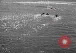 Immagine di Hawaiian surfers Hawaii USA, 1917, secondo 46 filmato di repertorio 65675023082