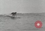 Immagine di Hawaiian surfers Hawaii USA, 1917, secondo 57 filmato di repertorio 65675023082