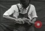 Immagine di Costruzione di Ukulele Hawaii USA, 1917, secondo 20 filmato di repertorio 65675023085