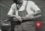 Immagine di Costruzione di Ukulele Hawaii USA, 1917, secondo 32 filmato di repertorio 65675023085
