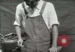 Immagine di Costruzione di Ukulele Hawaii USA, 1917, secondo 43 filmato di repertorio 65675023085