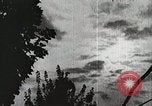 Image of flowers United States USA, 1937, second 4 stock footage video 65675023087