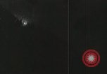Image of flowers United States USA, 1937, second 9 stock footage video 65675023087