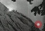 Image of flowers United States USA, 1937, second 11 stock footage video 65675023087