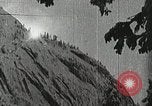 Image of flowers United States USA, 1937, second 13 stock footage video 65675023087
