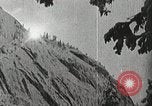 Image of flowers United States USA, 1937, second 16 stock footage video 65675023087