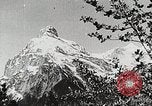 Image of flowers United States USA, 1937, second 20 stock footage video 65675023087