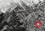 Image of flowers United States USA, 1937, second 24 stock footage video 65675023087