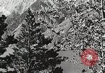 Image of flowers United States USA, 1937, second 25 stock footage video 65675023087