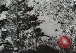 Image of flowers United States USA, 1937, second 29 stock footage video 65675023087