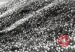Image of flowers United States USA, 1937, second 30 stock footage video 65675023087