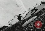 Image of flowers United States USA, 1937, second 38 stock footage video 65675023087