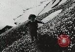 Image of flowers United States USA, 1937, second 42 stock footage video 65675023087