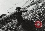 Image of flowers United States USA, 1937, second 43 stock footage video 65675023087