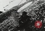 Image of flowers United States USA, 1937, second 45 stock footage video 65675023087