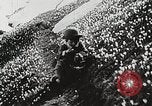 Image of flowers United States USA, 1937, second 47 stock footage video 65675023087