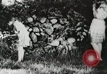 Image of flowers United States USA, 1937, second 55 stock footage video 65675023087