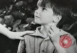 Image of flowers United States USA, 1937, second 61 stock footage video 65675023087