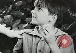 Image of flowers United States USA, 1937, second 62 stock footage video 65675023087
