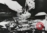 Image of Louis Pasteur United States USA, 1937, second 17 stock footage video 65675023088