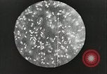 Image of antiseptic surgery United States USA, 1937, second 14 stock footage video 65675023089