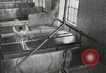 Image of antiseptic surgery United States USA, 1937, second 28 stock footage video 65675023089