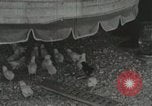 Image of Electric improvements for farms Tennessee United States USA, 1935, second 51 stock footage video 65675023095