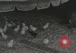 Image of Electric improvements for farms Tennessee United States USA, 1935, second 52 stock footage video 65675023095