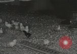 Image of Electric improvements for farms Tennessee United States USA, 1935, second 53 stock footage video 65675023095