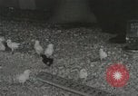 Image of Electric improvements for farms Tennessee United States USA, 1935, second 54 stock footage video 65675023095