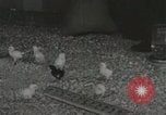 Image of Electric improvements for farms Tennessee United States USA, 1935, second 55 stock footage video 65675023095