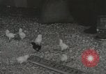 Image of Electric improvements for farms Tennessee United States USA, 1935, second 56 stock footage video 65675023095