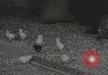 Image of Electric improvements for farms Tennessee United States USA, 1935, second 57 stock footage video 65675023095