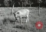 Image l'industrie dans l'Appalachia Marion Virginia USA, 1934, de la seconde 43 séquences d'archives historiques vidéo 65675023100