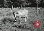Image l'industrie dans l'Appalachia Marion Virginia USA, 1934, de la seconde 44 séquences d'archives historiques vidéo 65675023100