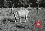 Image l'industrie dans l'Appalachia Marion Virginia USA, 1934, de la seconde 45 séquences d'archives historiques vidéo 65675023100